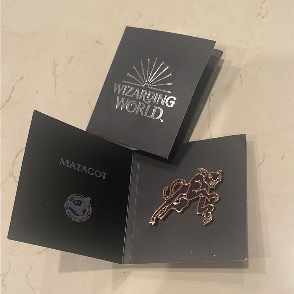 Harry Potter Pins
